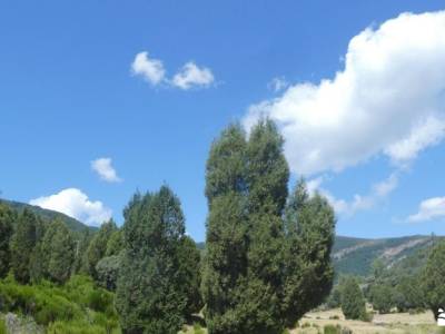 Bosques y Leyendas del Alto Carrión; verano viajes senderismo viajes turismo activo senderismo por l